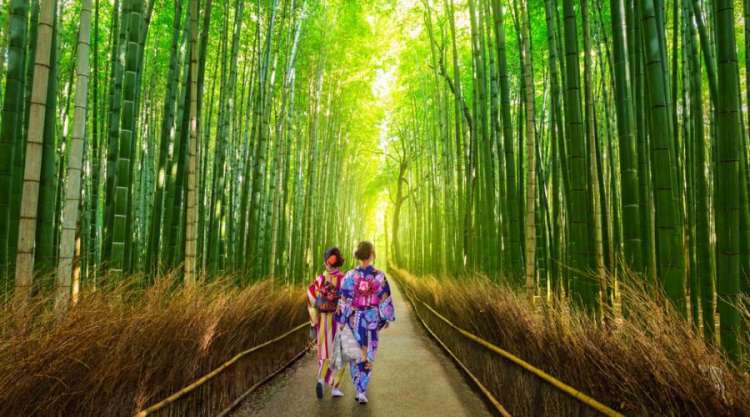 La foresta di bambù di Arashiyama